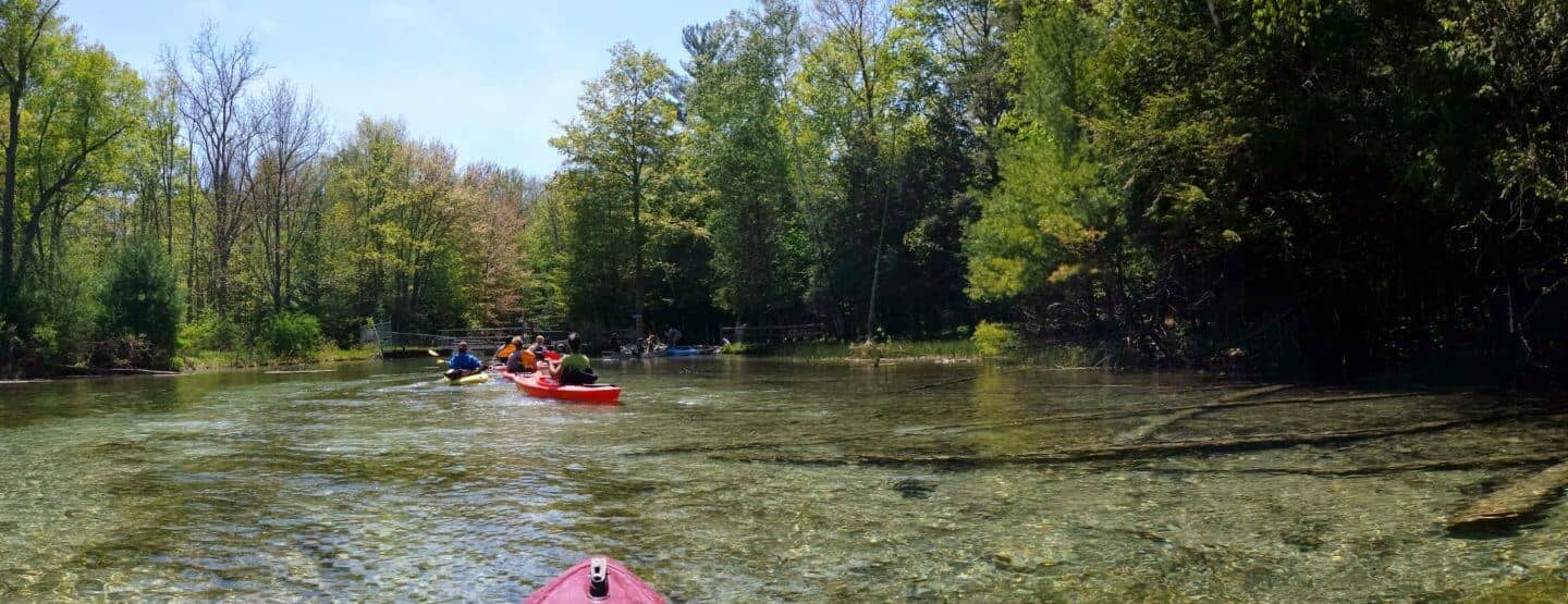 Crystal River Kayaking