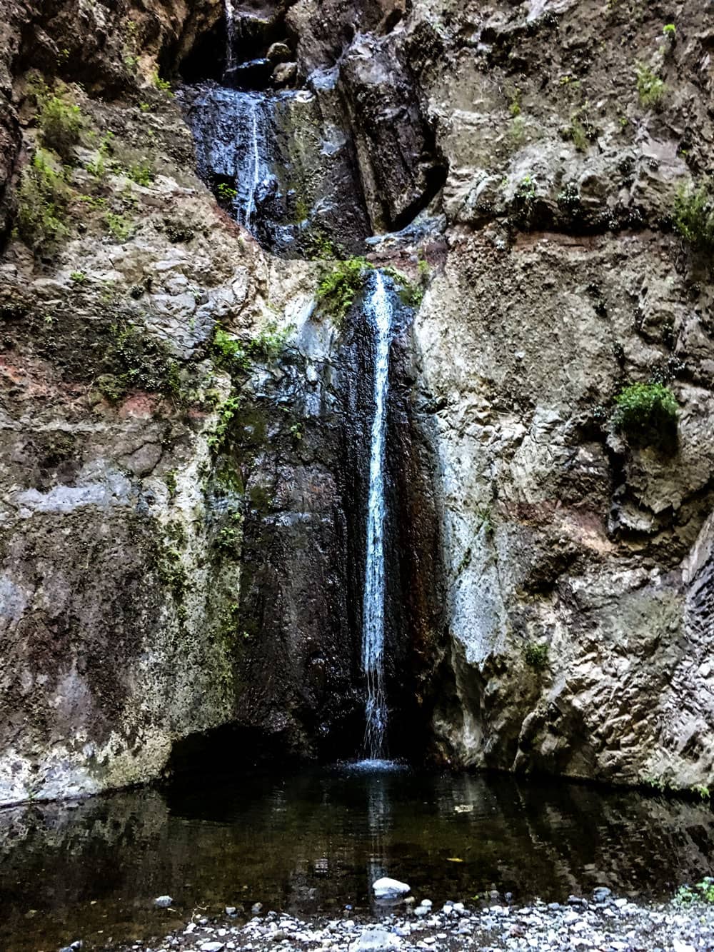 Highlights