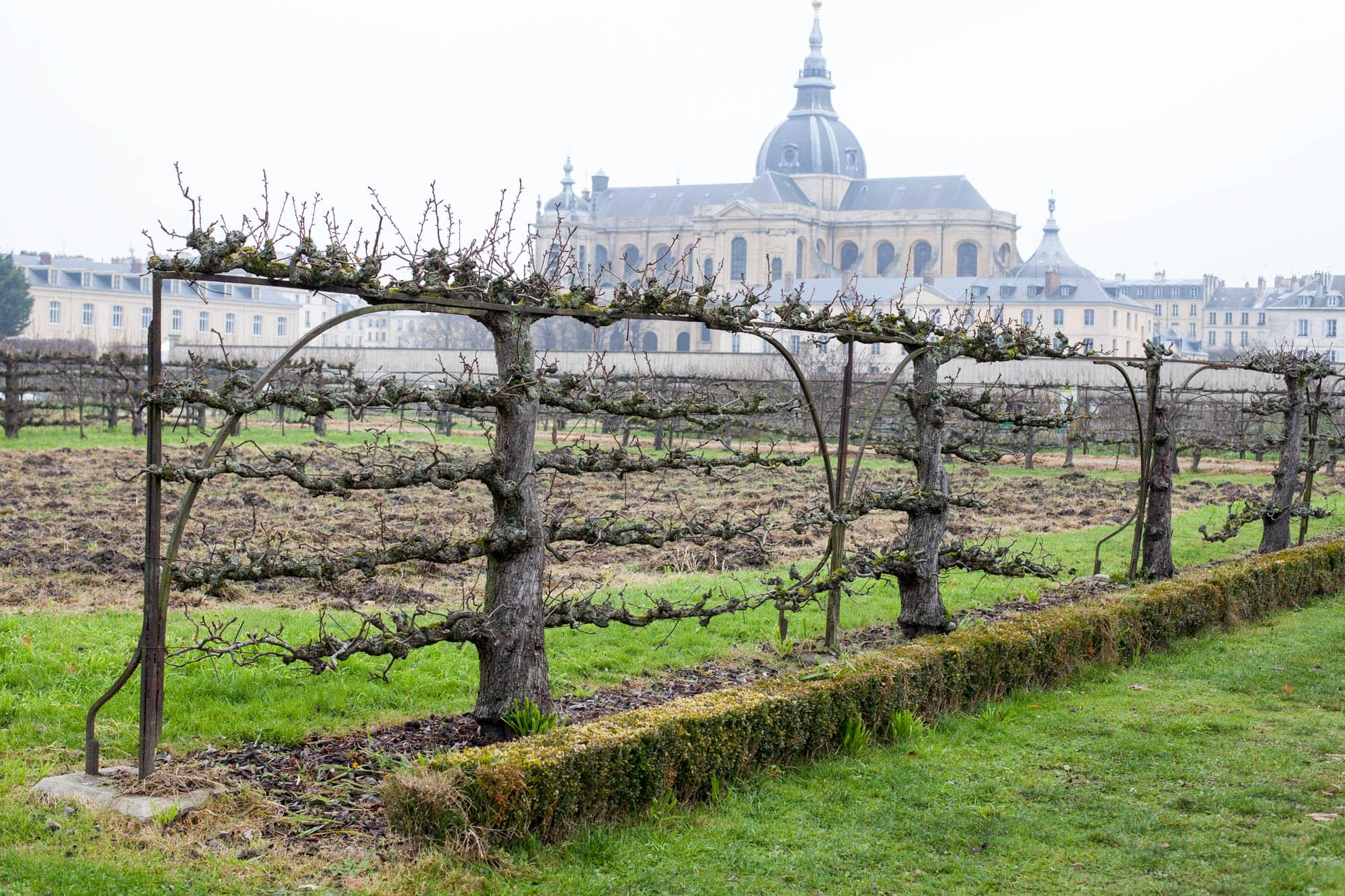 The Authenticity of Versailles