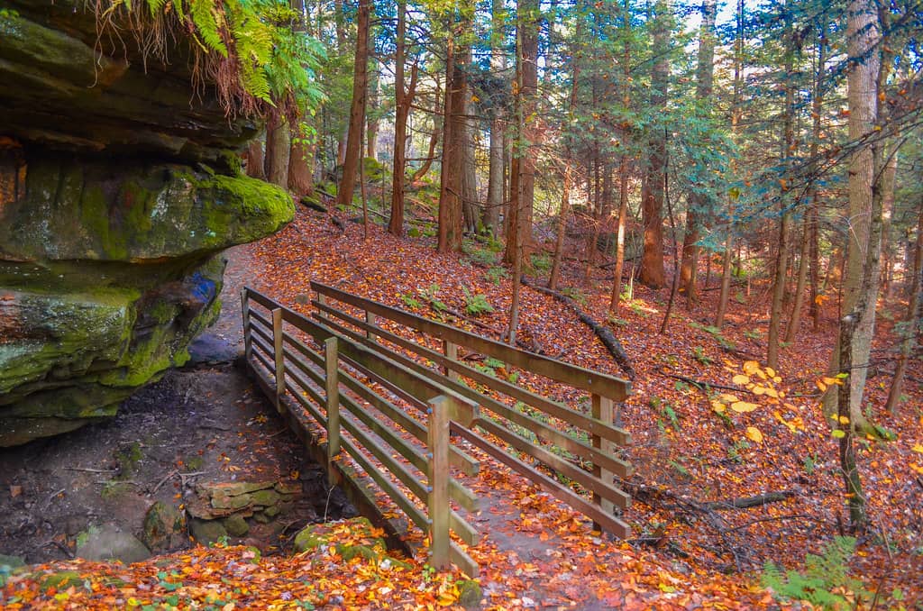 The Ledges Trail