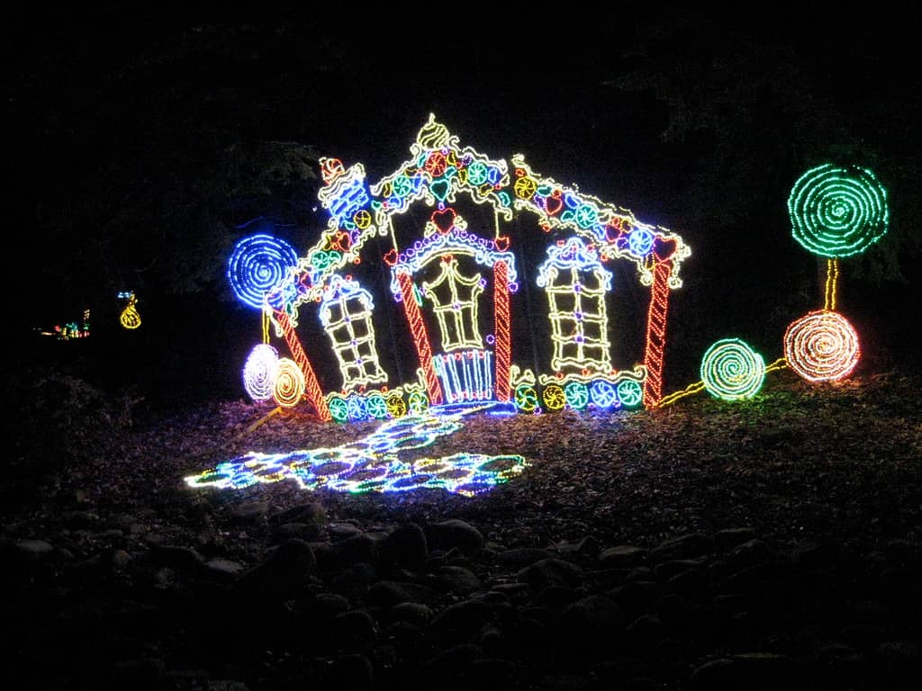 Enchanted Garden of Lights