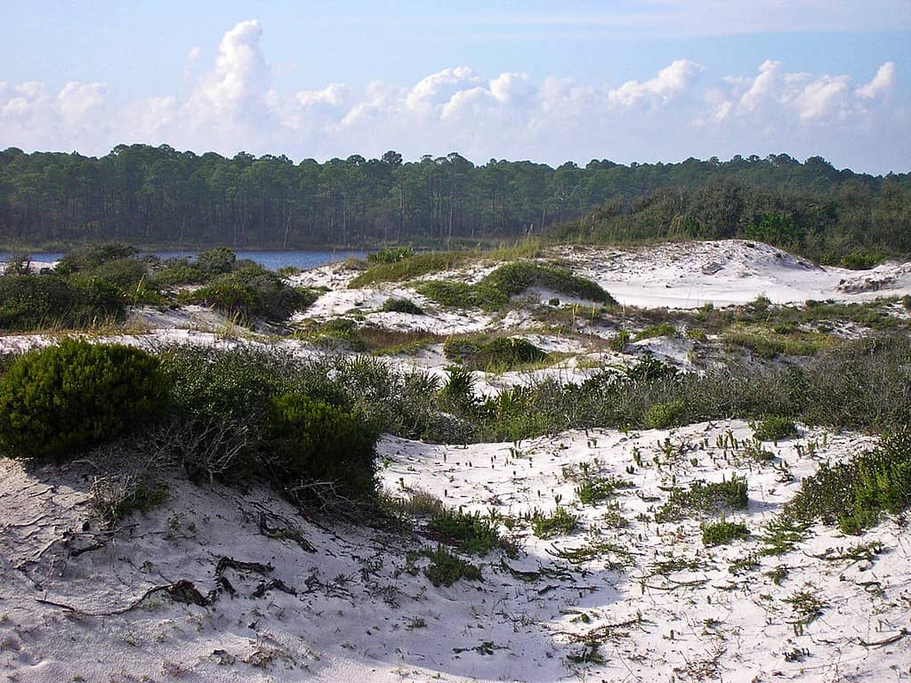 Secluded Beach Access