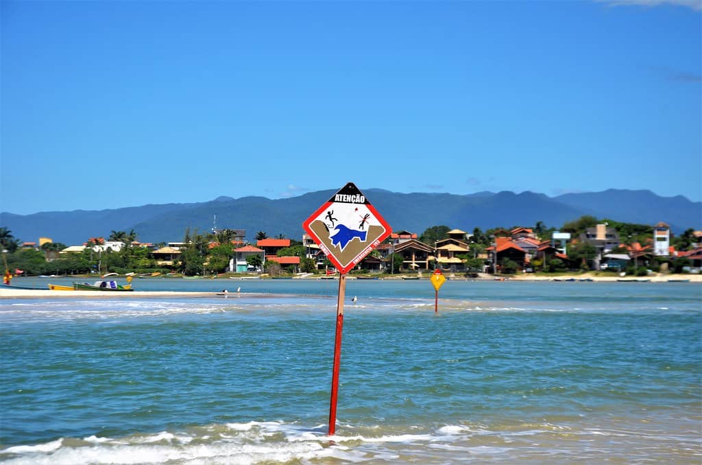 Surfer's Paradise