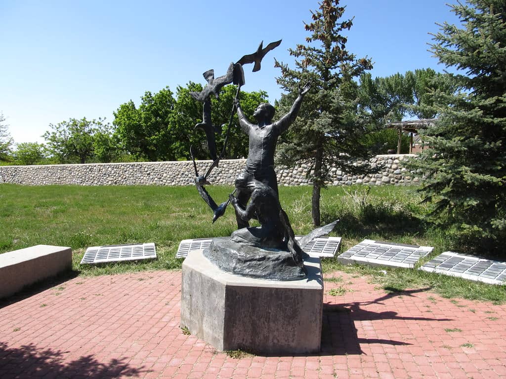 Pioneer History