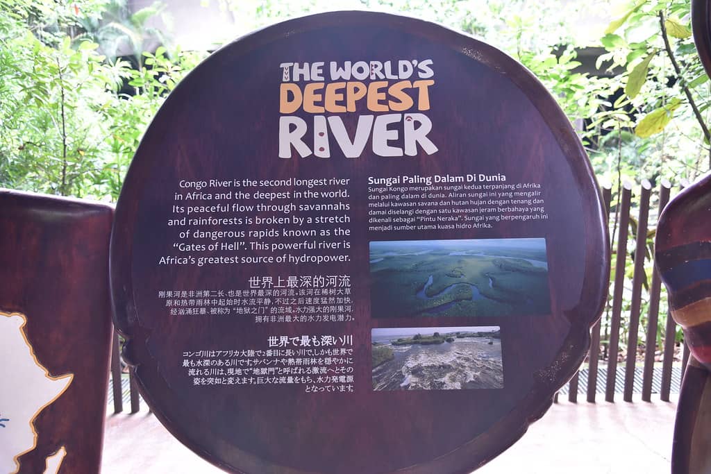Congo River