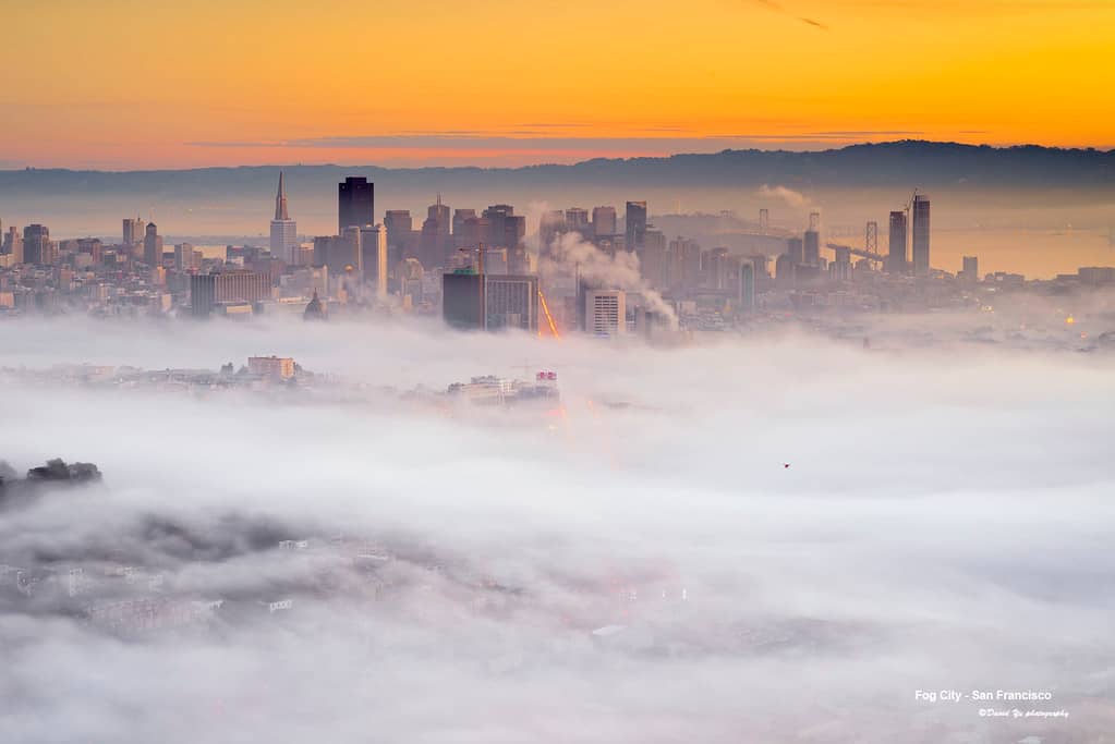 Foggy Atmosphere