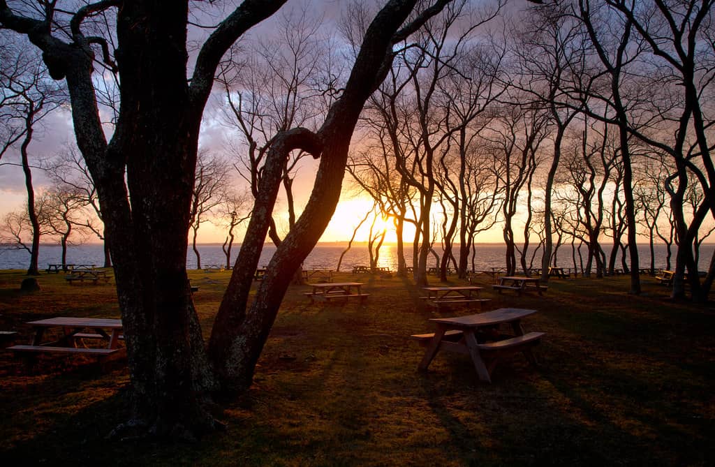 Picnic & Play Areas