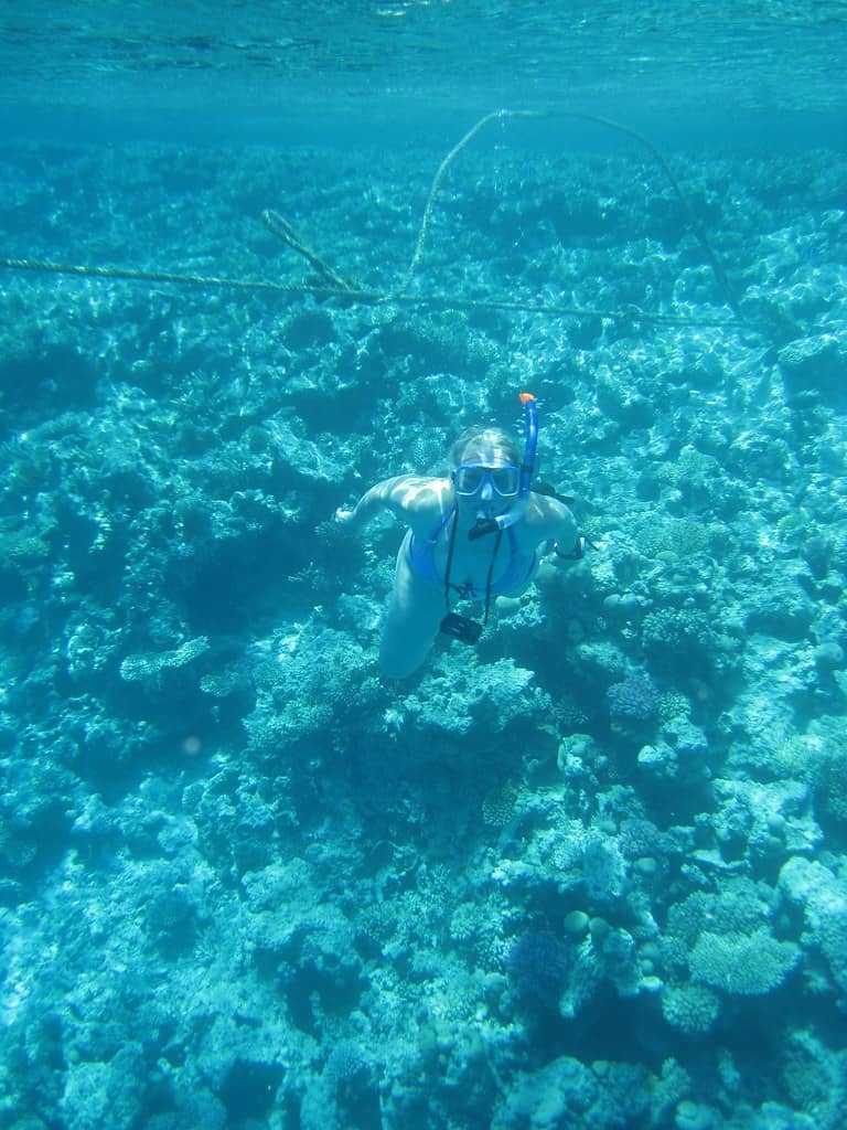 Easy Dives for All Levels