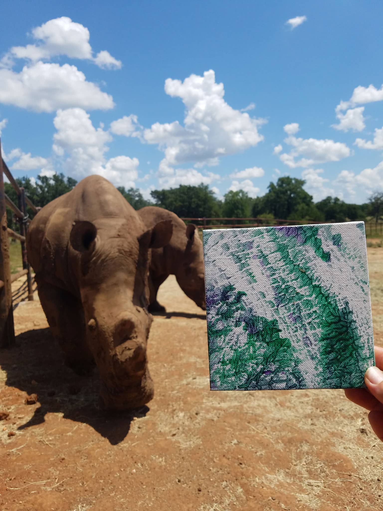 Painting with Animals
