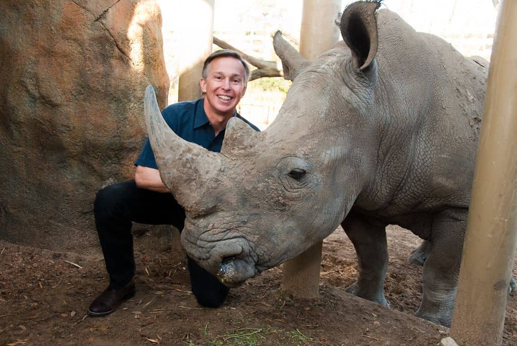 Meet the Rhinos
