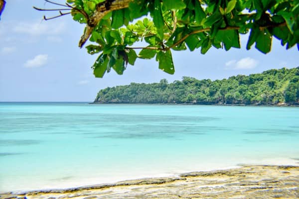 Dauphin Island Adventures