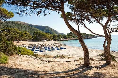 Natural Park Setting