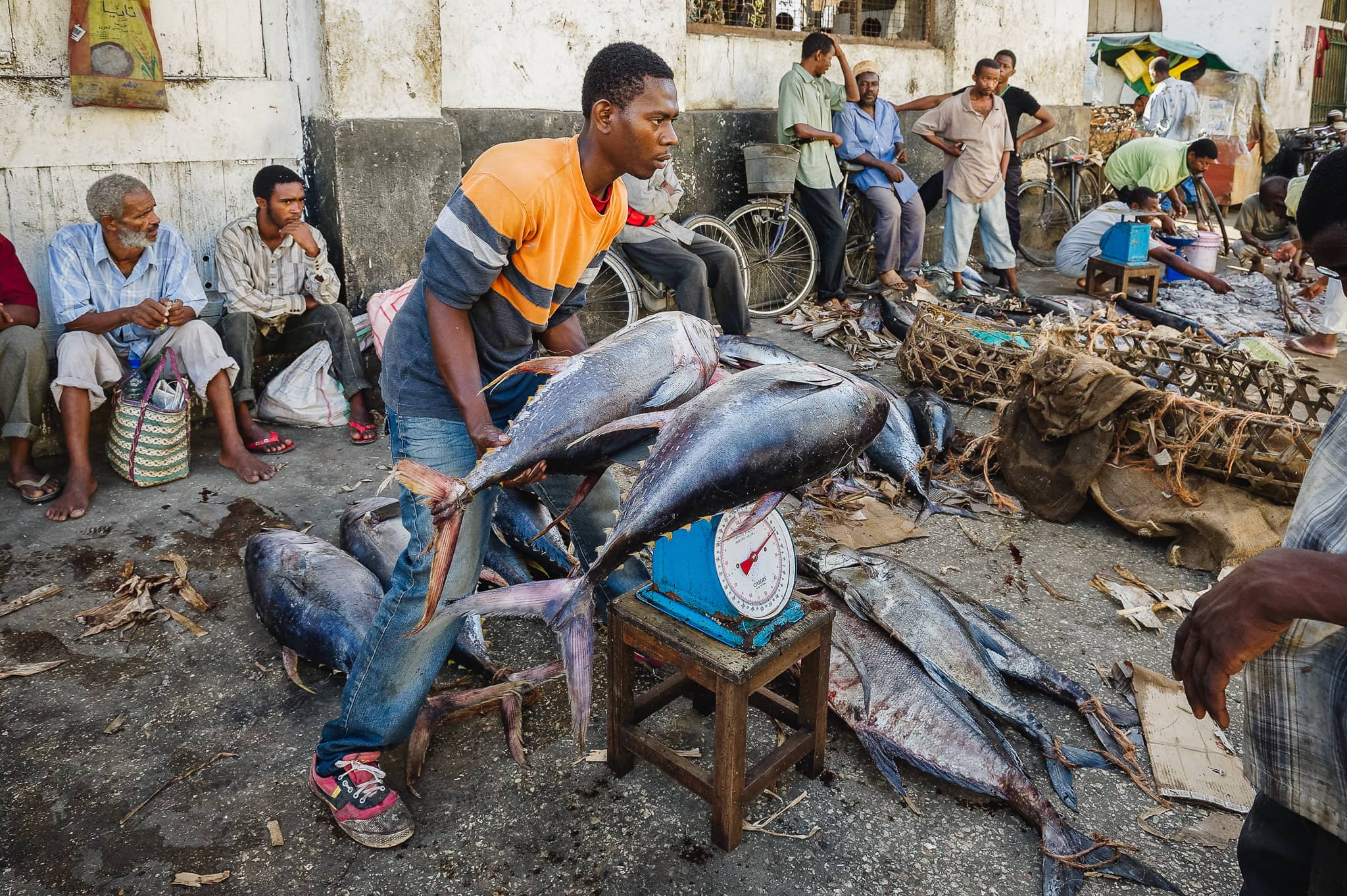 Seafood Market