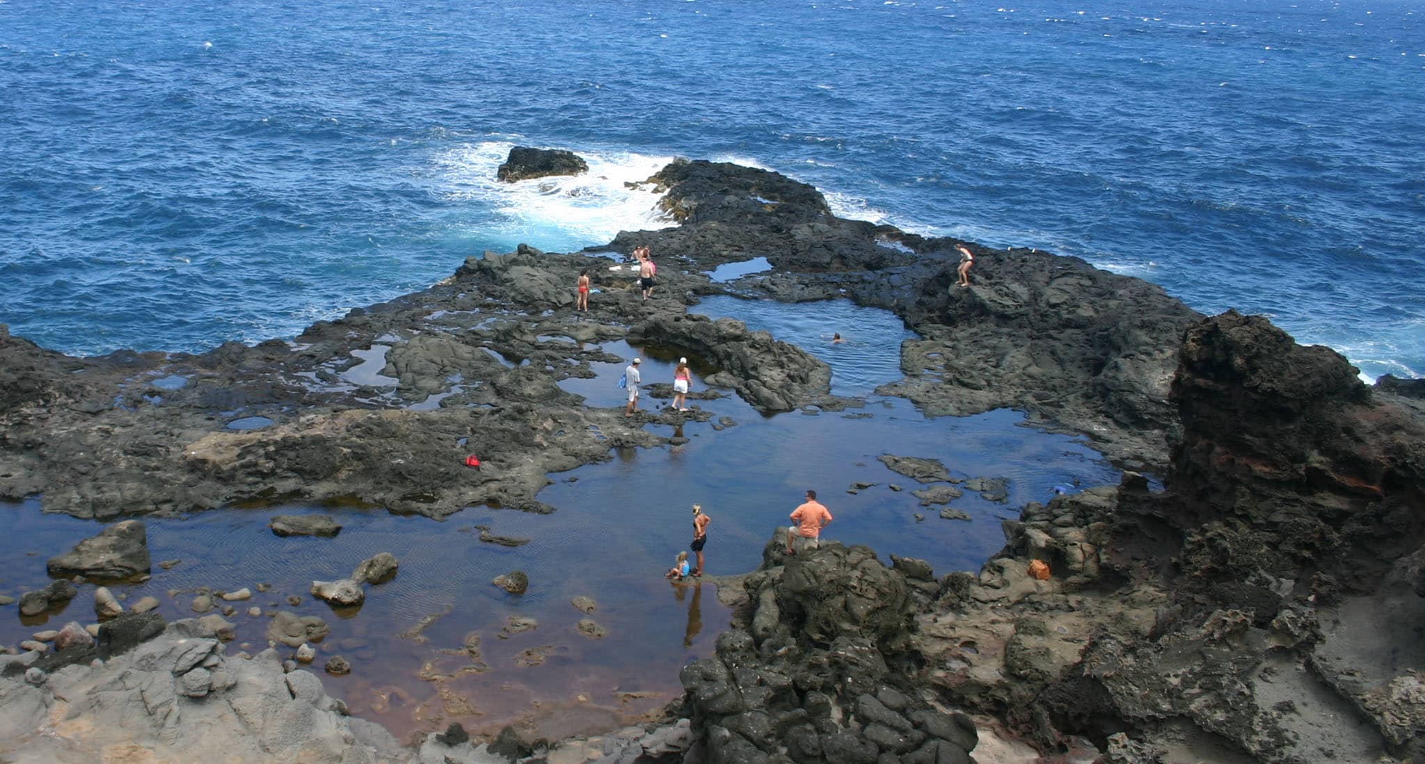 Marine Life Encounters