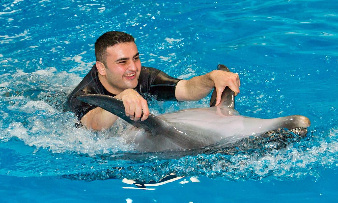 Swim with Dolphins