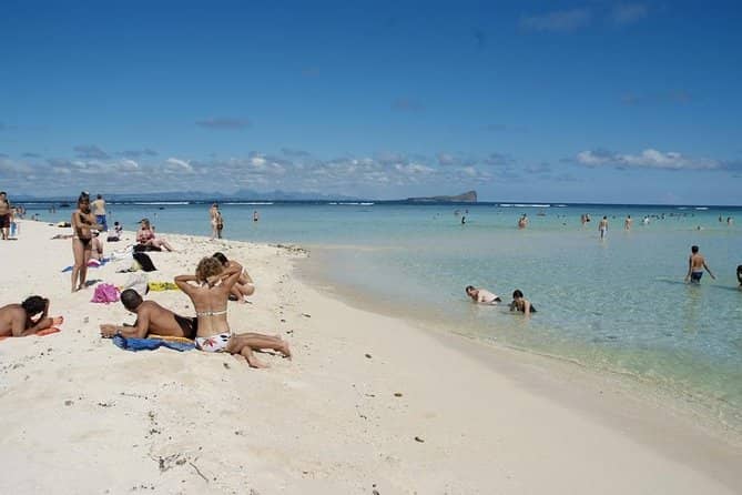 Marine Life Observation