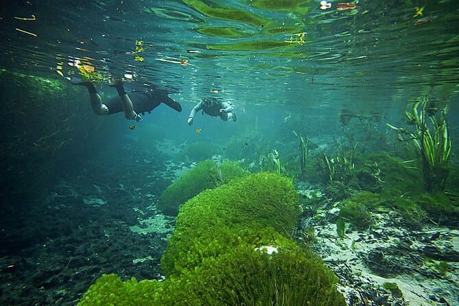 Rio Sucuri Snorkeling