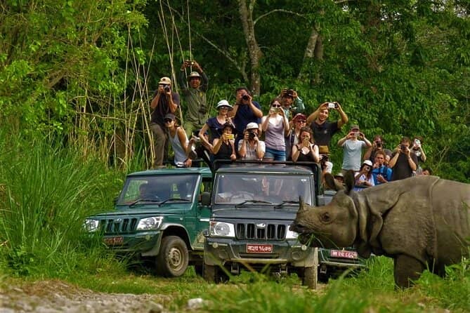 Chitwan National Park Safari