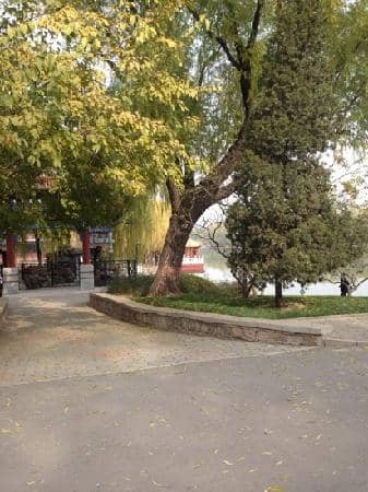 Dragon Boat Racing Practice