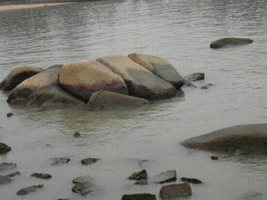 Scenic Coastal Views