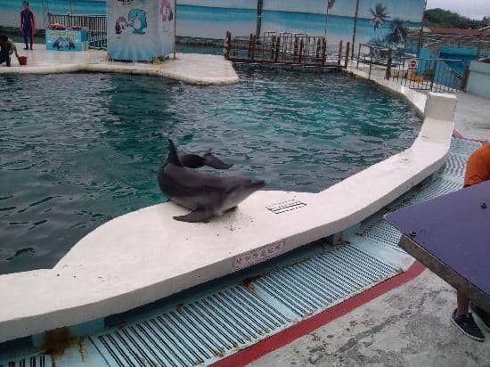 Diverse Marine Exhibits