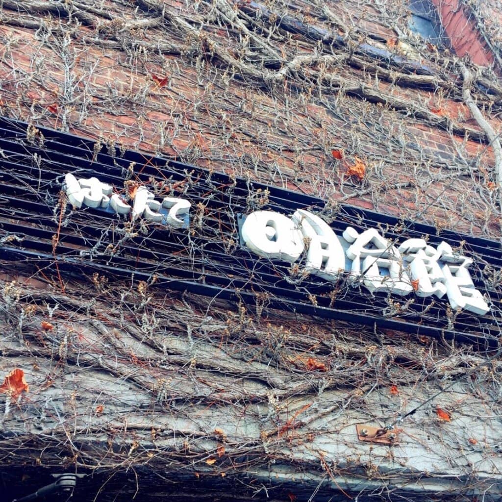 Souvenir Shops Galore