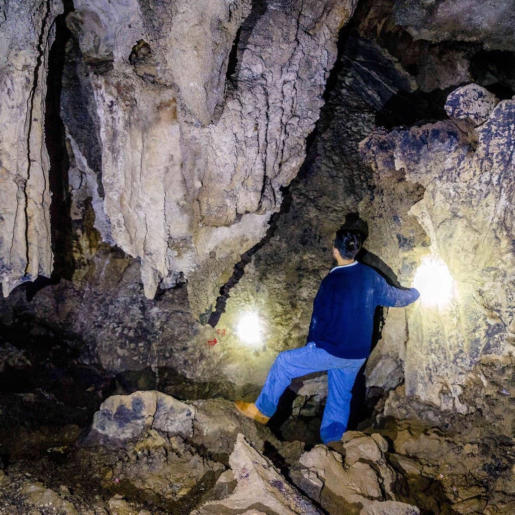 The Wild Cave System