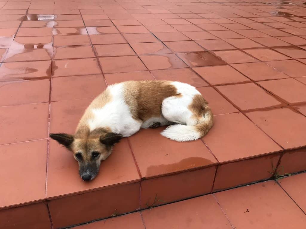 Comrade Kaysone's Residence