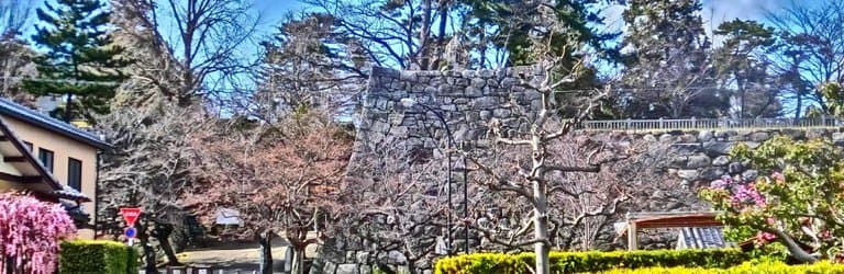 生垣と石畳(絵画調)