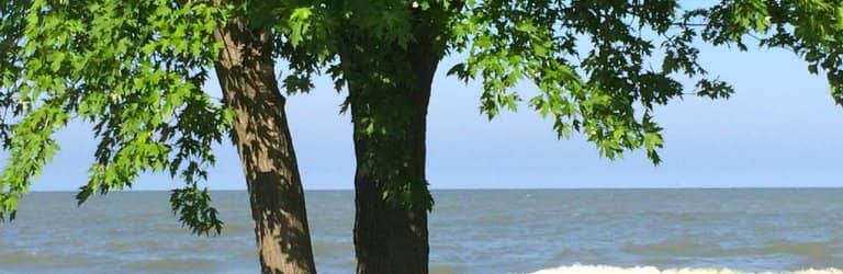 Lake Erie Views