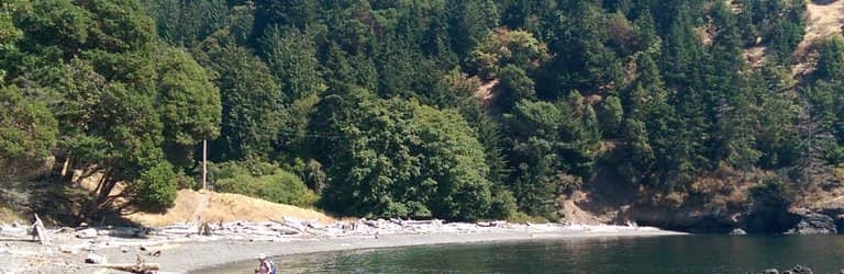 Whale Watching from Shore