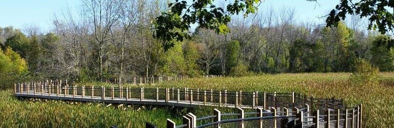 River Viewing Platform