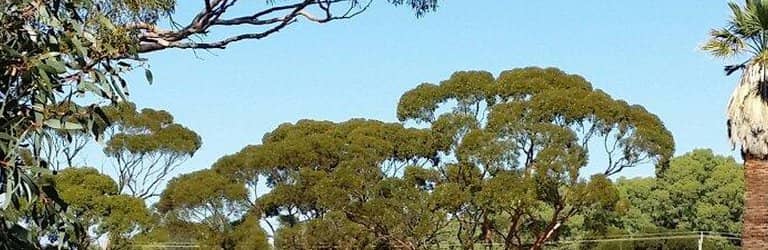 Exotic Bird Aviaries