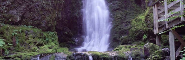 Walton Glen Gorge Falls
