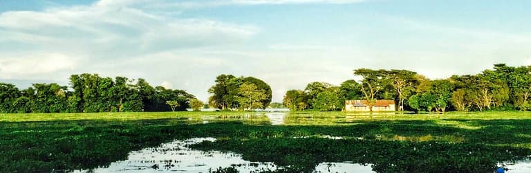 Hakaluki Haor, Moulvibazar. Bangladesh's largest and one of Asia's larger marsh wetland.