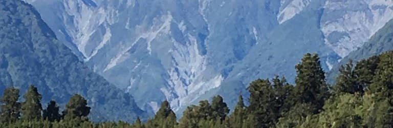 Ancient Rainforest Trail