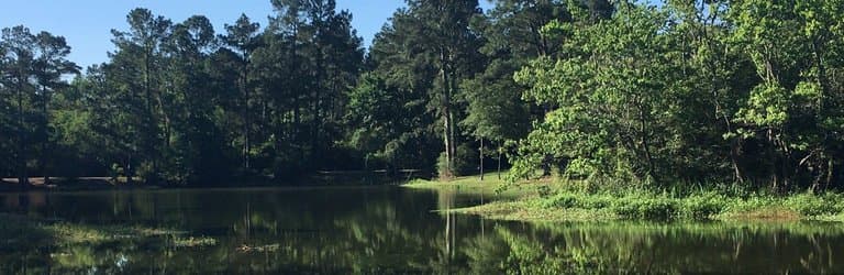 Spring Creek Greenway