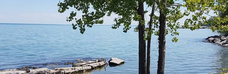 European-Inspired Village