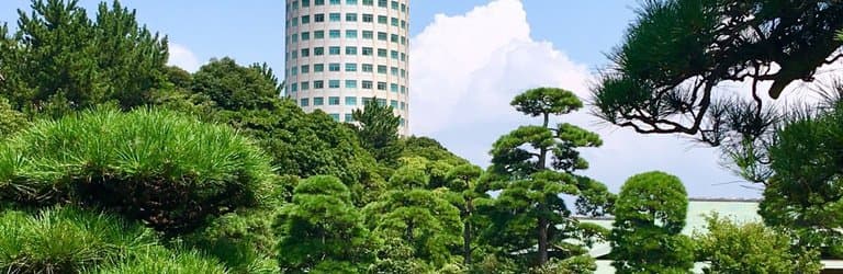 Nature, consciously cultivated, offering a secluded place to enjoy peace, harmony and tea.