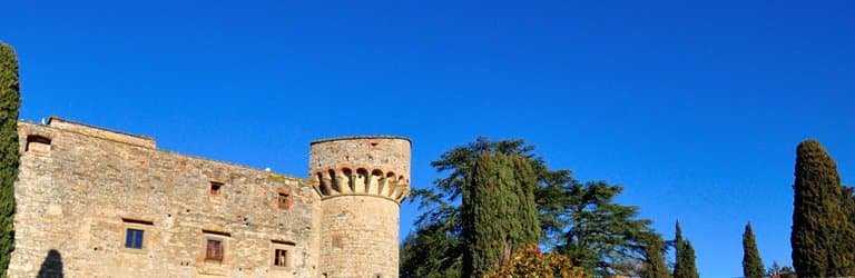 il castello dal giardino