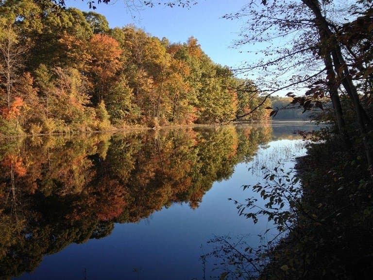 View from the walking trail