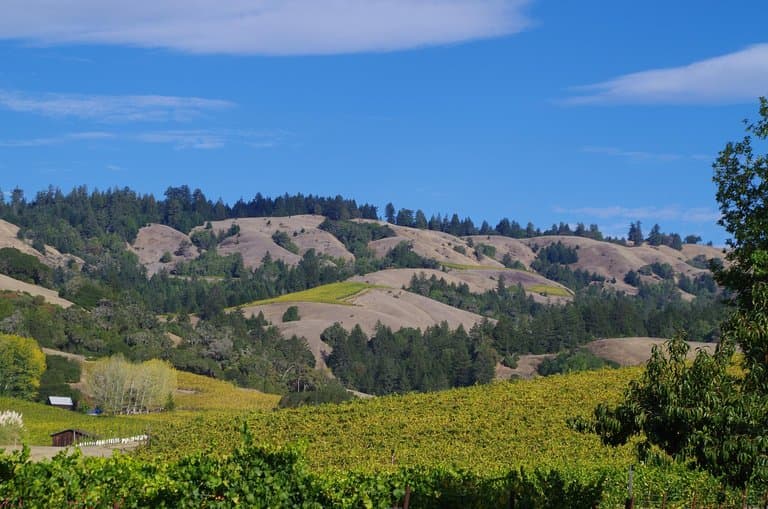 the northern hills of Anderson Valley