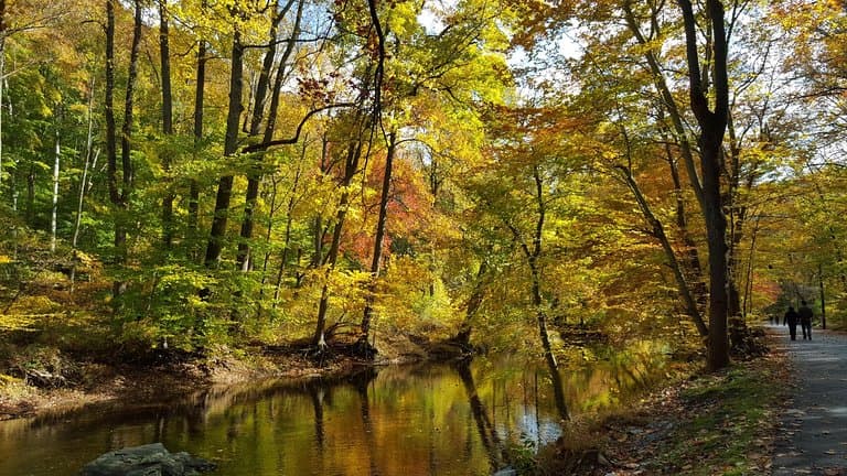 Fall at Ridley Creek