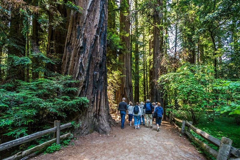Roaring Camp Railroads