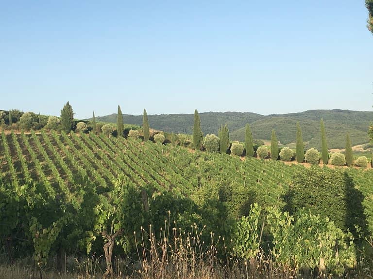 Castello di Volpaia Winery