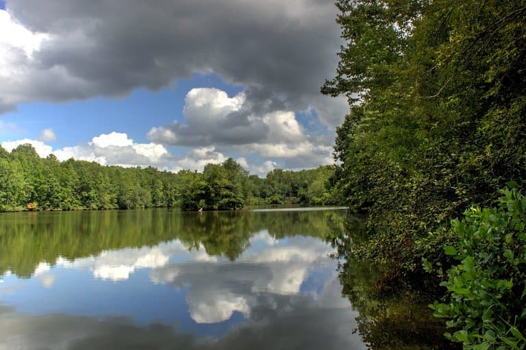 Tranquil lake surface at start of nature trail