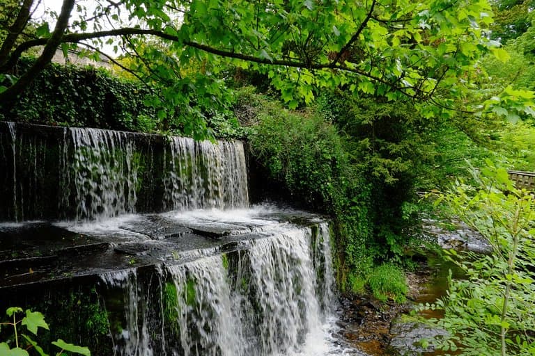 Skipton Castle Woods