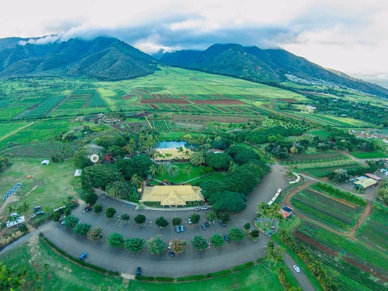 MTP Aerial