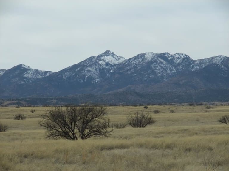 Empire Ranch Las Cienegas National Conservation Area