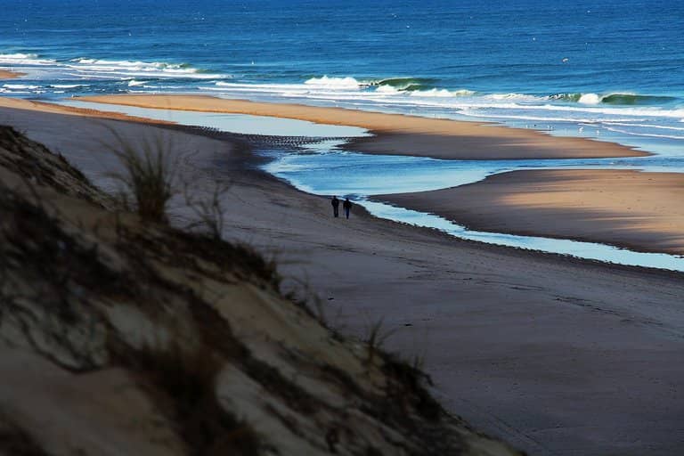Dune Shacks and Trails